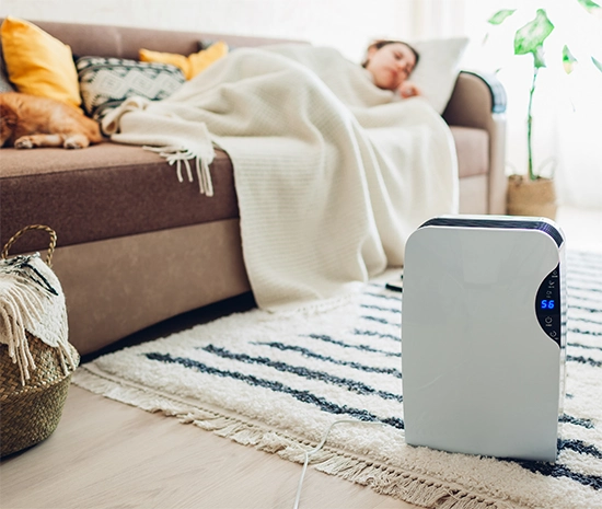 Creating an allergy-friendly home can significantly reduce your exposure to allergens1