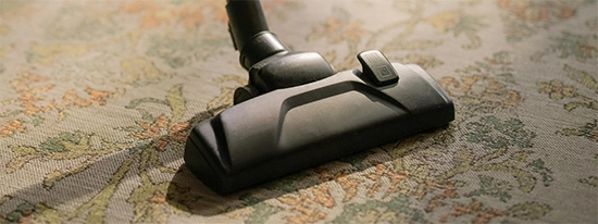 Proteins in pet saliva, skin (dander), and urine can trigger allergies