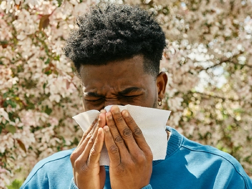 Allergy Myths Debunked: What Really Works for Hay Fever and Allergic Reactions