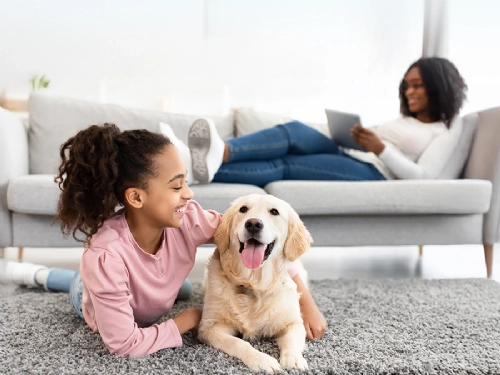 Pollen, Dust, and Pet Dander: How to Identify and Manage your Allergy Triggers