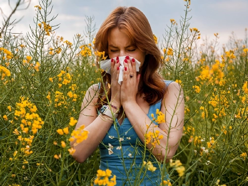 Surviving Allergy Season: How Tellerge, Allergex<sup>&reg;</sup> Non Drowsy, and Nazene<sup>&reg;</sup> Z Can Help