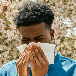 Allergy Myths Debunked: What Really Works for Hay Fever and Allergic Reactions