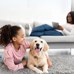 Pollen, Dust, and Pet Dander: How to Identify and Manage your Allergy Triggers